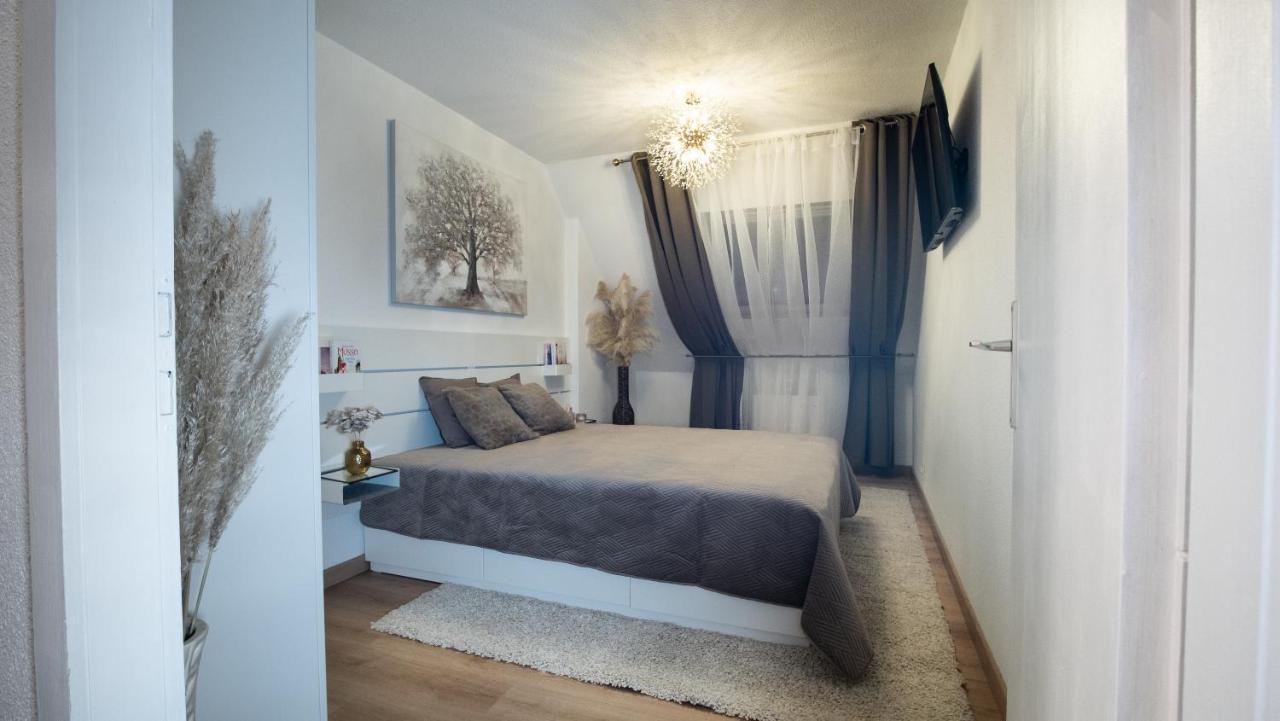 Superbe Appartement Au Coeur Du 콜마 외부 사진